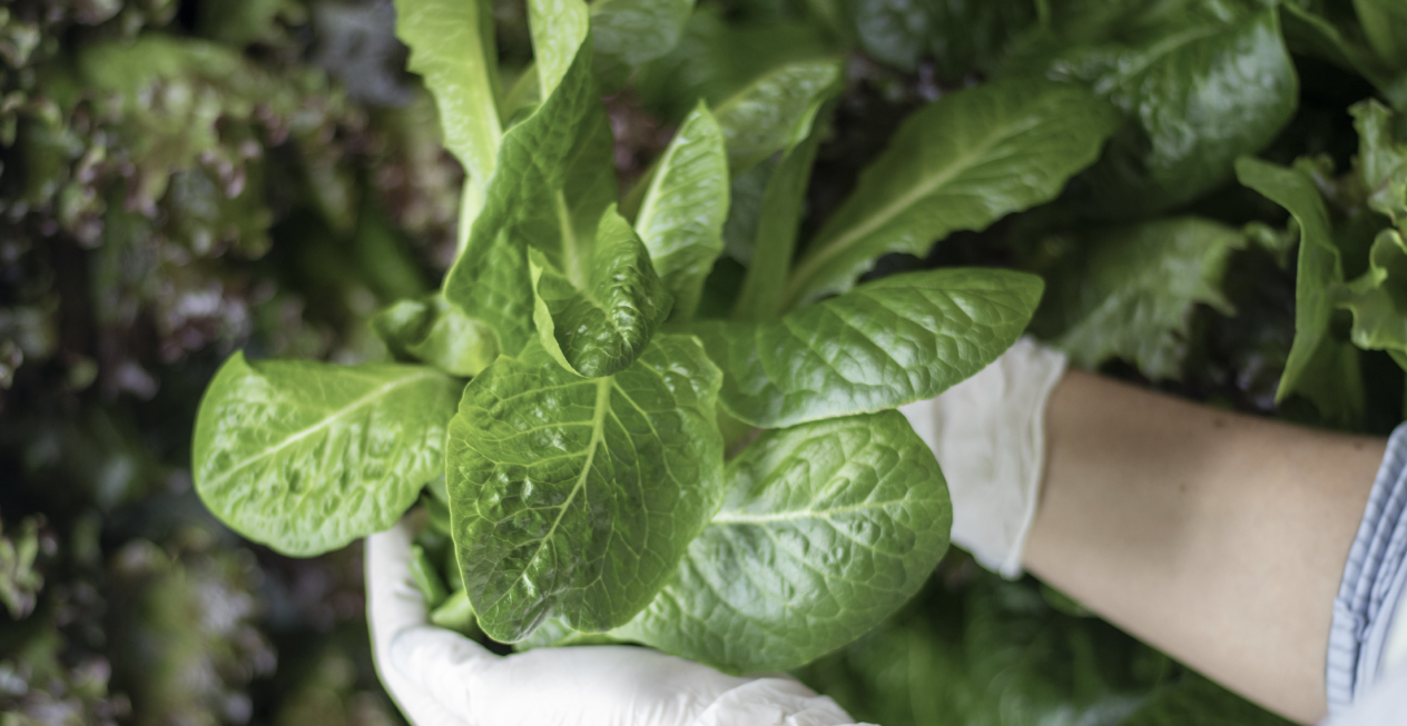 Plymouth Industries, Inc. is a proud partner of Fork Farms and their Fresh Food for All Revolution.